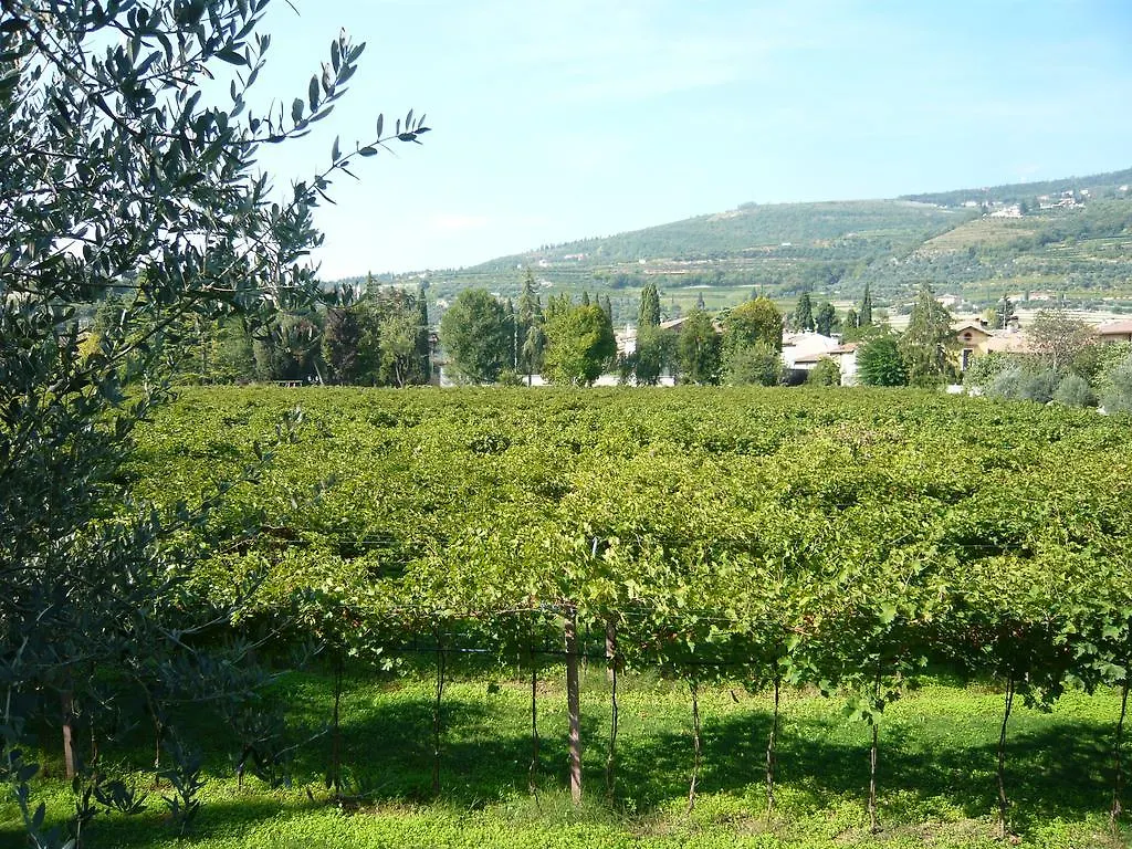 Relais Villa Selle Fumane Guest house